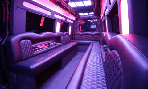 Roseville 14 Passenger Sprinter Bus Interior