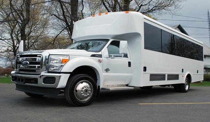 Roseville 20 Passenger Party Bus
