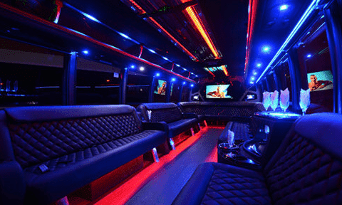 Roseville 30 Passenger Party Bus Black Interior